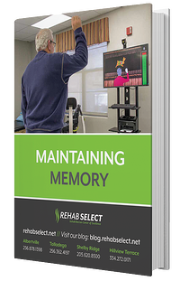 Maintaining Memory eBook